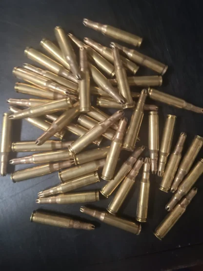 LAKE CITY M82 7.62 x 51 / 308 BLANKS